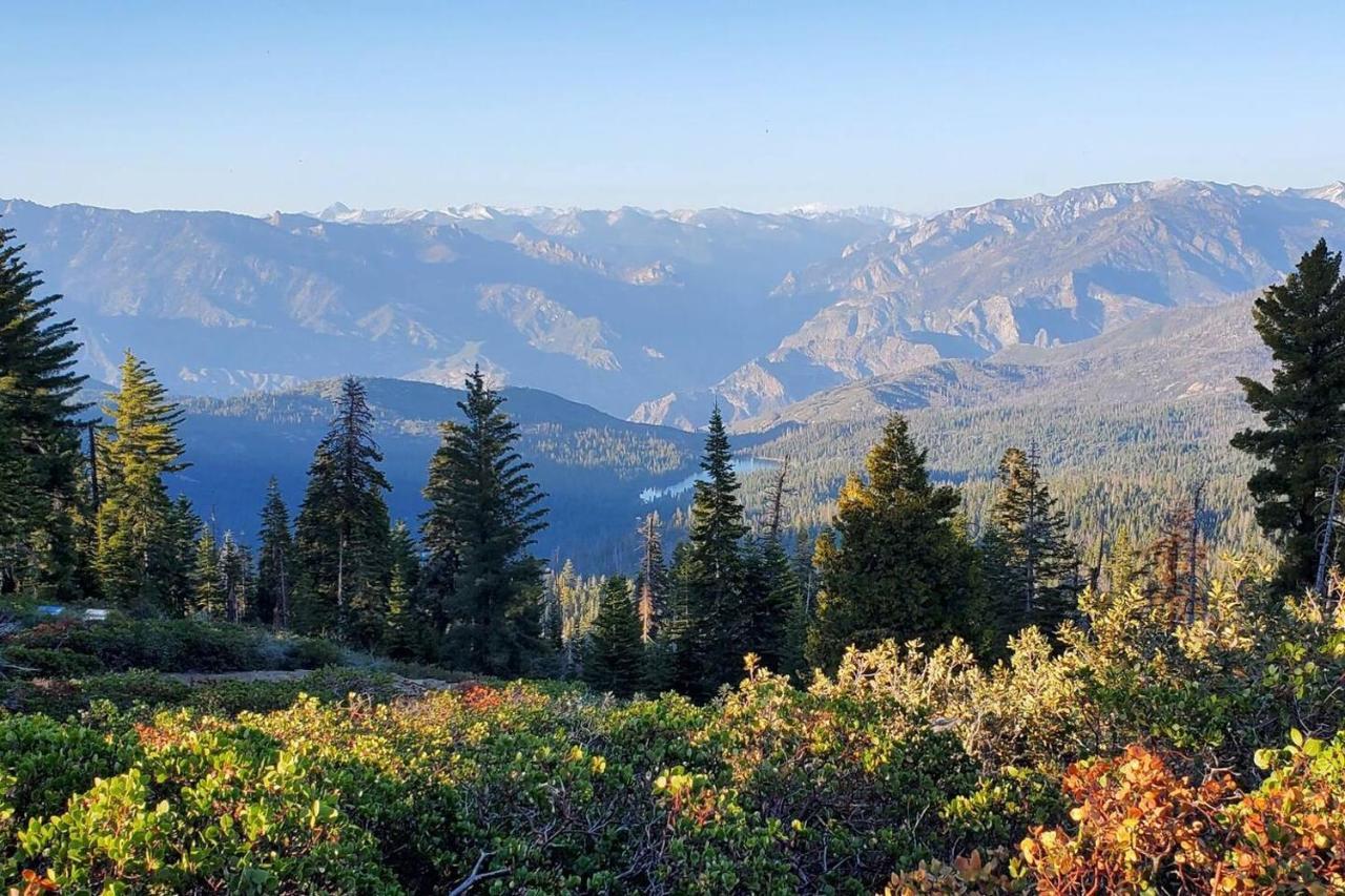Wilsonia Sequoia Glenヴィラ エクステリア 写真